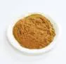 Сухой экстракт черной смородины (лист) (лат. Ribes nigrum L.)
